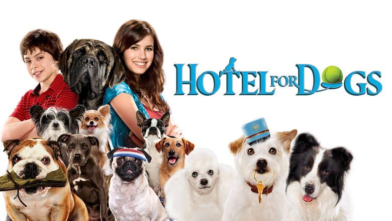 Hotel para perros - Fondo