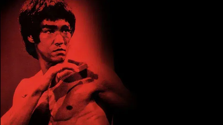 La leyenda de Bruce Lee - Fondo