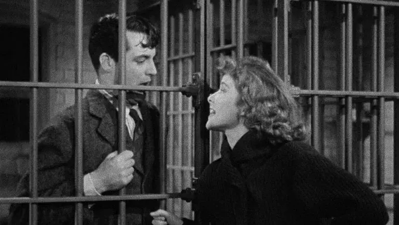 La fiera de mi niña - Fondo