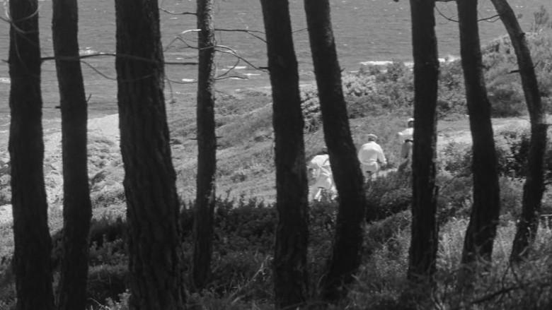 Jules y Jim - Fondo