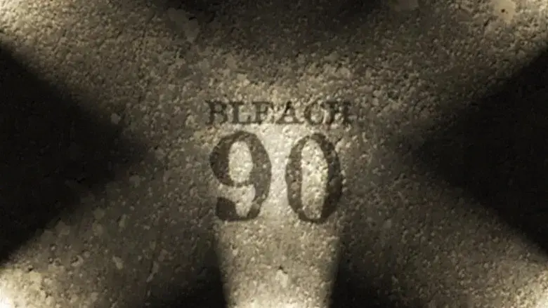 Abarai Renji, ¡Alma de Bankai!