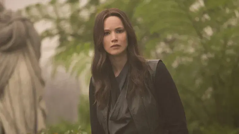 Los Juegos del Hambre: Sinsajo - Parte 2 - Fondo