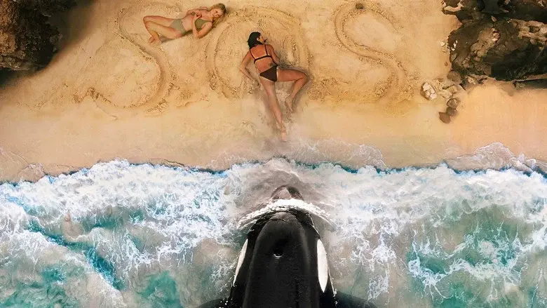 Killer Whale - Fondo