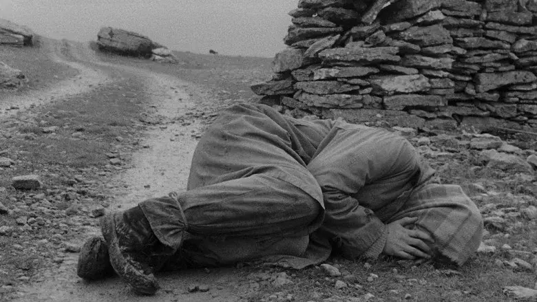 La vergüenza - Fondo