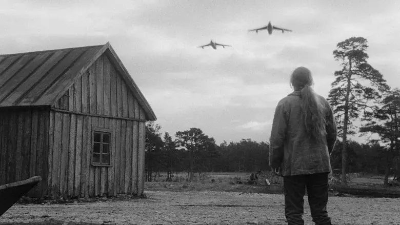 La vergüenza - Fondo