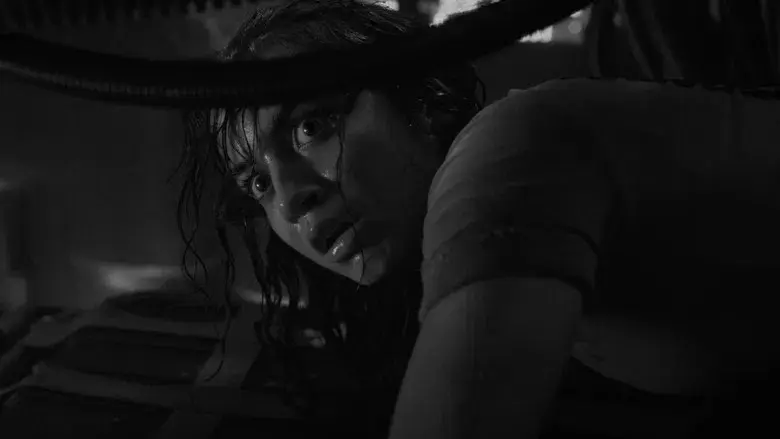 Alien: Romulus - Fondo