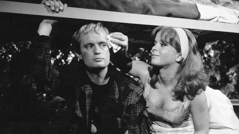 El Espía del Sombrero Verde - Fondo