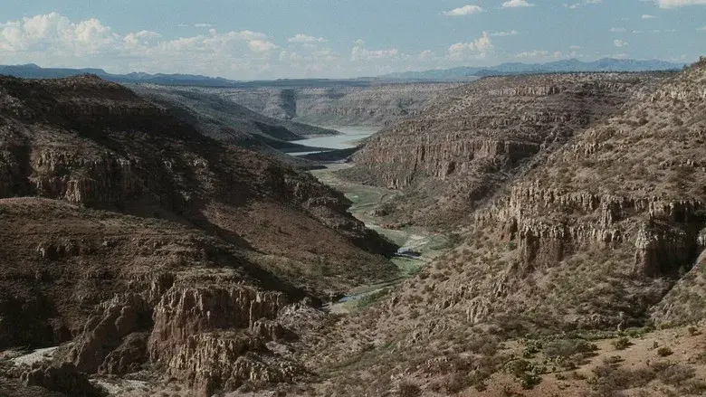 Materialistas - Fondo