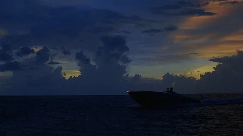 Licencia para matar - Fondo