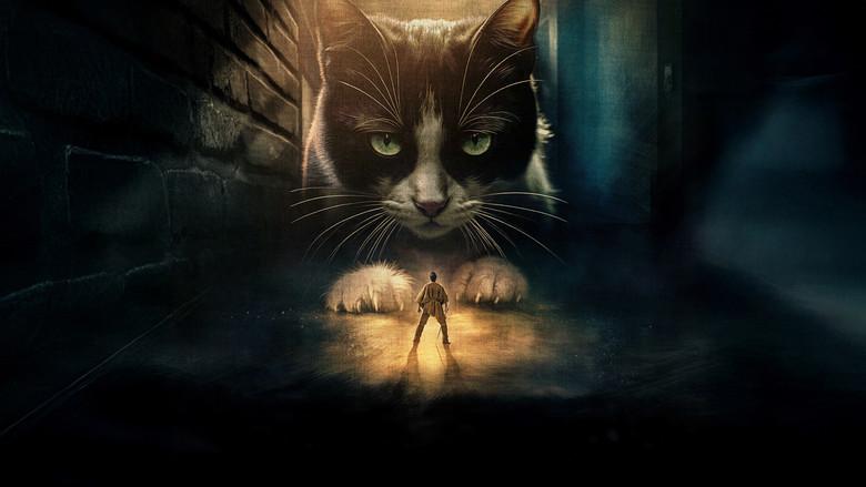 El hombre menguante - Fondo