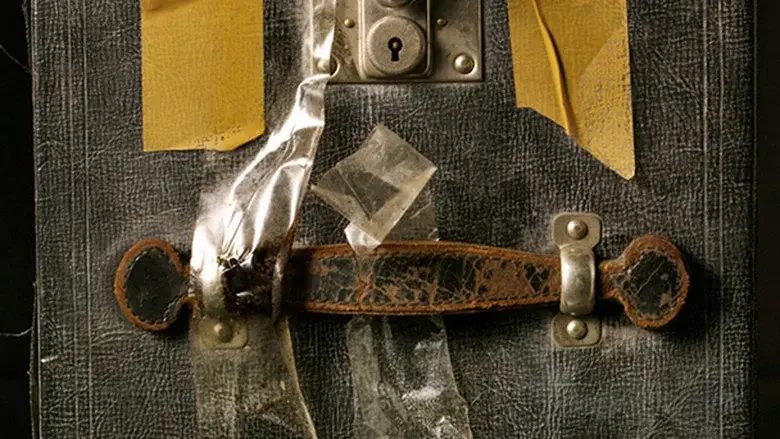 Buscando a Vivian Maier - Fondo