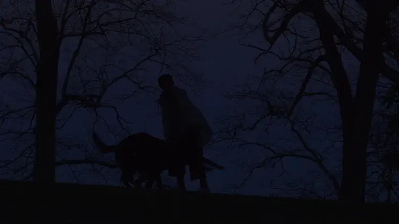 Puñales por la espalda - Fondo