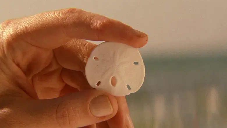 Life Aquatic - Fondo