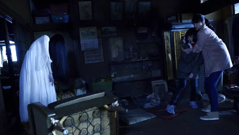 Sadako vs. Kayako - Fondo