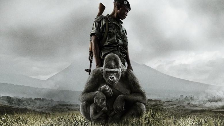 Virunga - Fondo