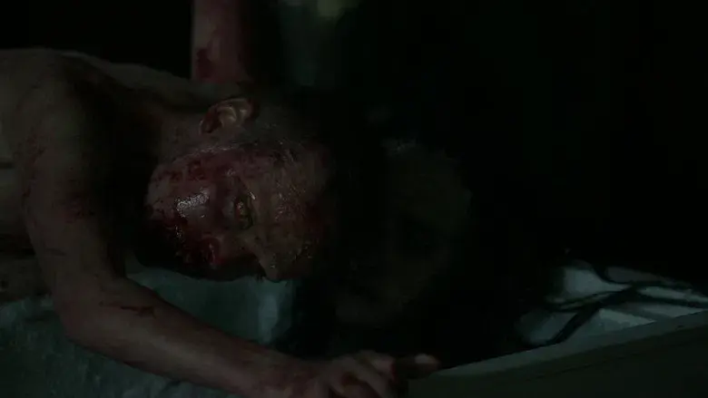 Devuélvemela - Fondo