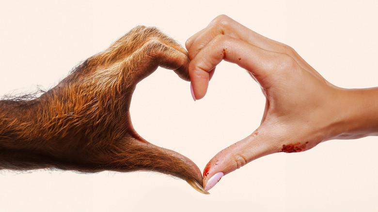 Amor a lo bestia - Fondo