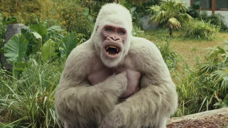 Proyecto Rampage - Fondo