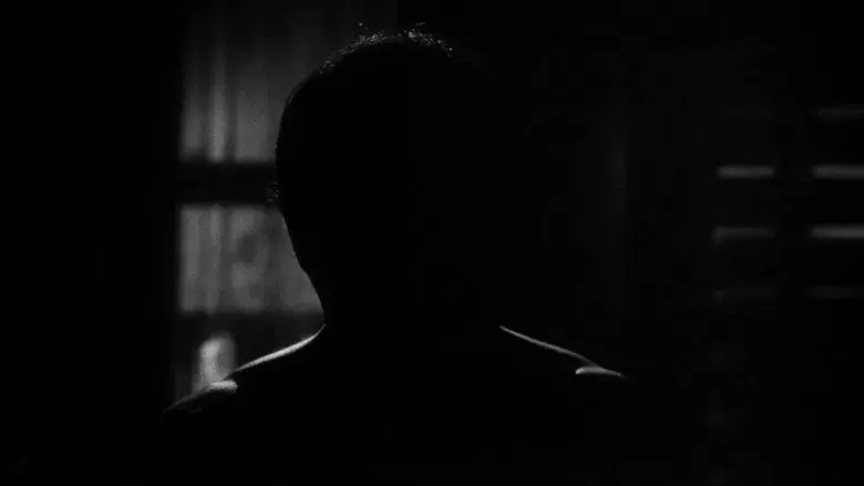 Who Killed Teddy Bear? - Fondo