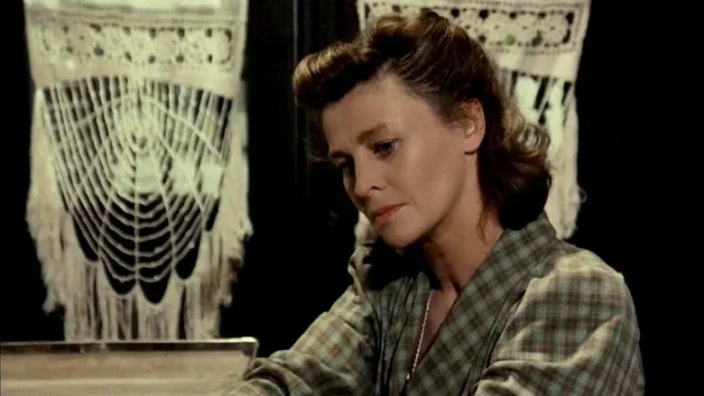 Miss Mary - Fondo