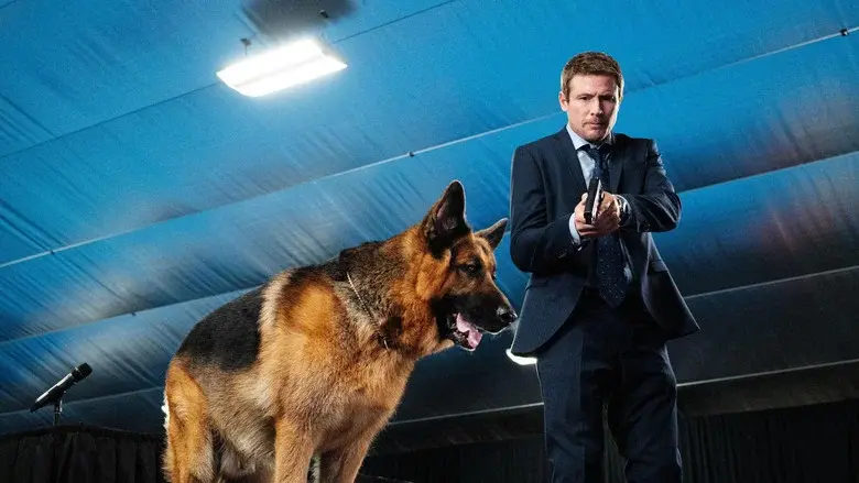 Perro jefe