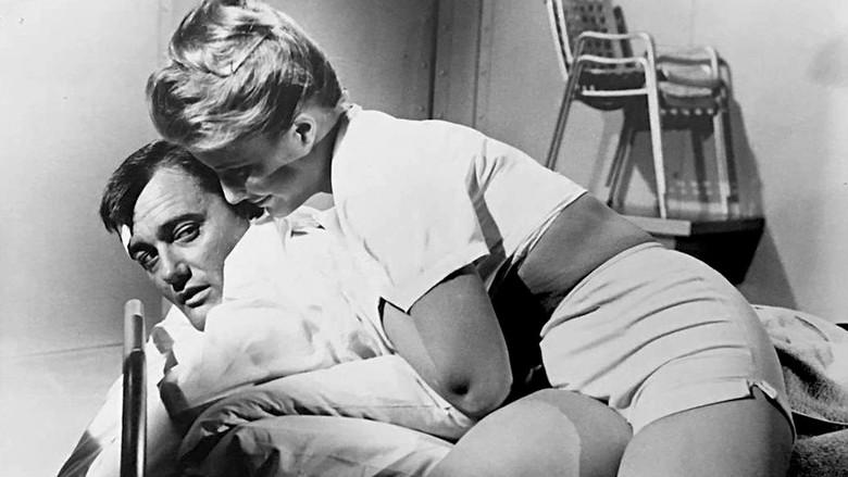 El Espía del Sombrero Verde - Fondo