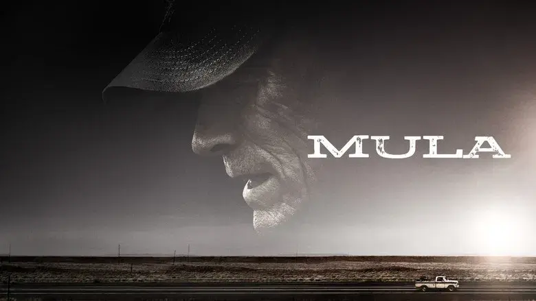 La Mula - Fondo