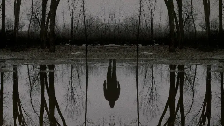 El visitante - Fondo