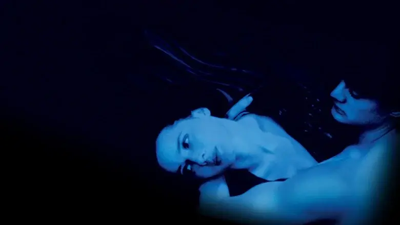 Terciopelo azul - Fondo