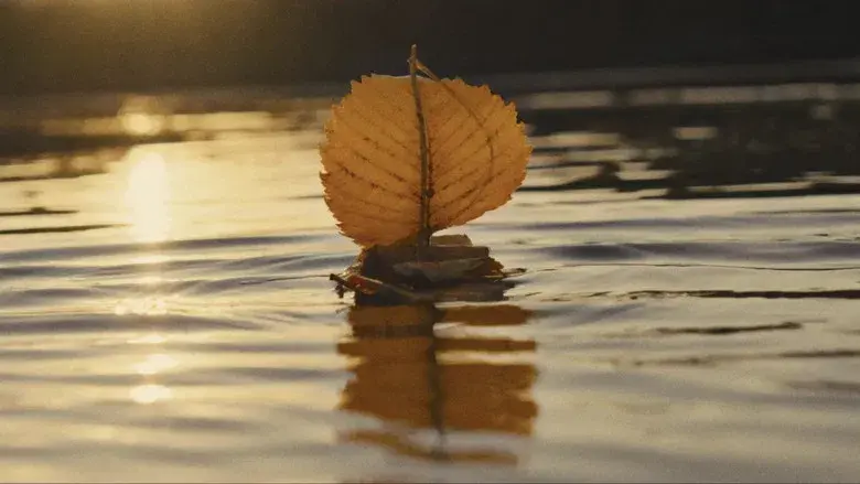 Porcelain War - Fondo