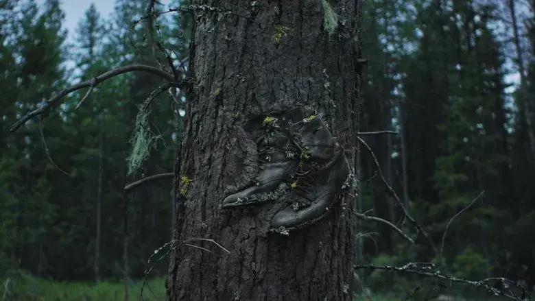 Sueños de trenes - Fondo