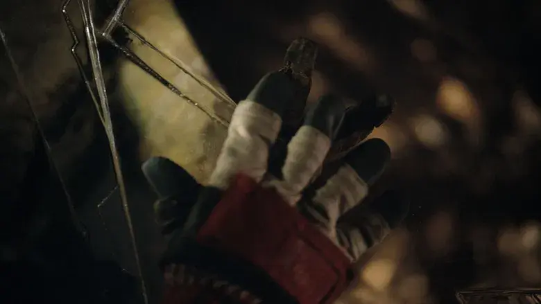 Proyecto salvación - Fondo