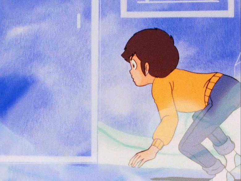 ¿Puede un mapache ser agradecido?