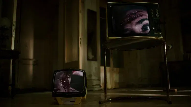 Crímenes del futuro - Fondo