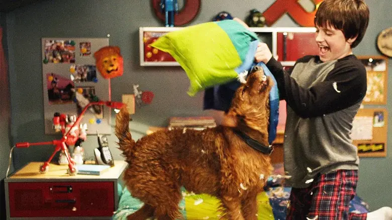 Perro al rescate - Fondo