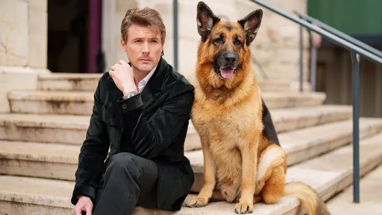 Hudson & Rex - Fondo