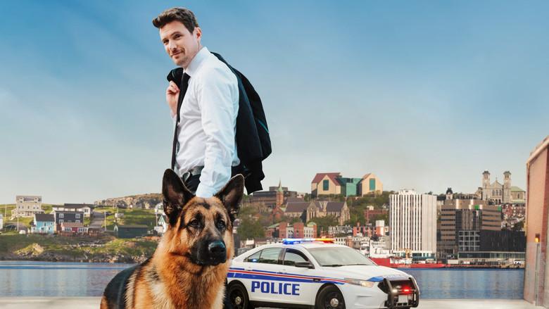 Hudson & Rex - Fondo