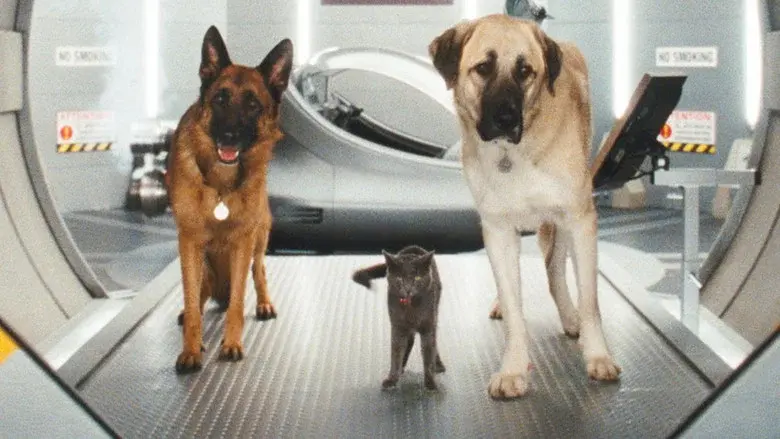 Como perros y gatos: La venganza de Kitty Galore - Fondo