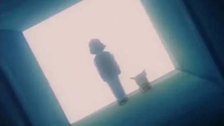 Comienza la primera ronda