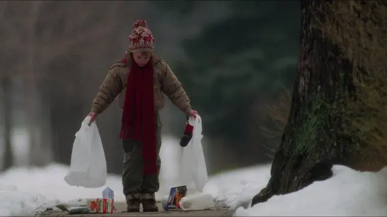 Solo en casa - Fondo
