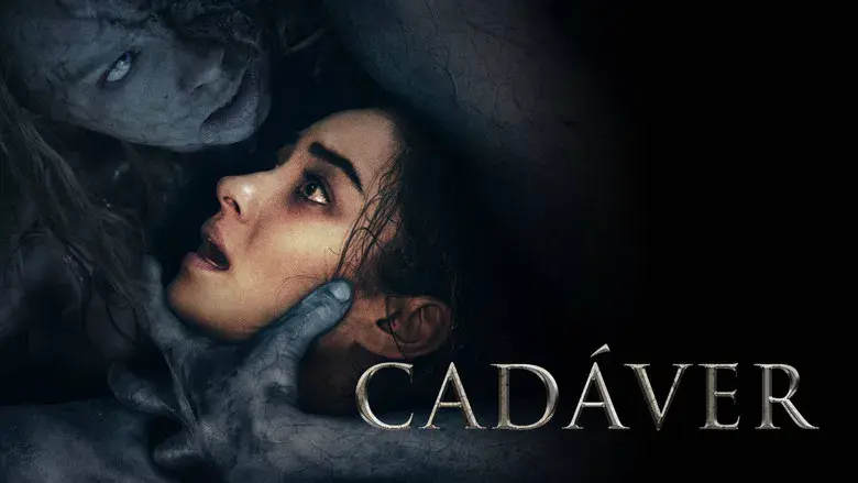 The Possession of Hannah Grace - Backdrop