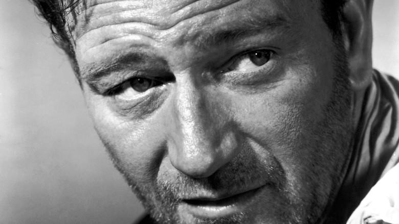 Centauros del desierto - Fondo