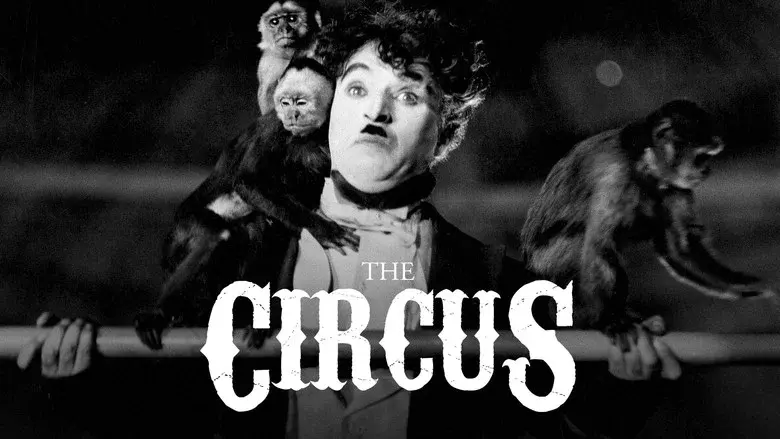 El circo - Fondo