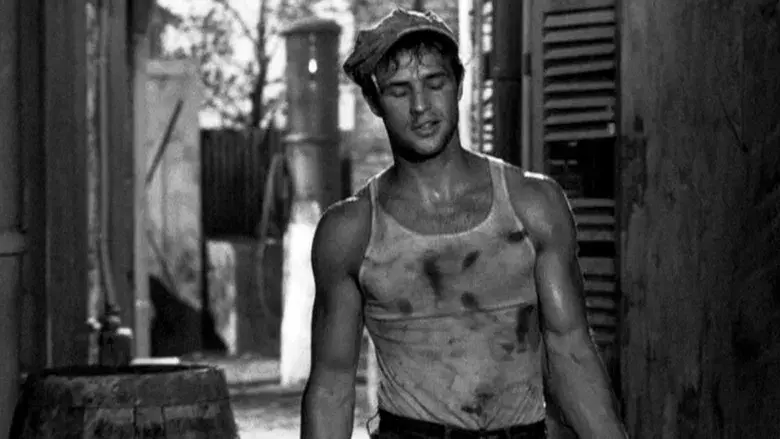 Un tranvía llamado deseo - Fondo