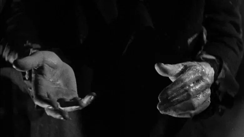 La novia de Frankenstein - Fondo