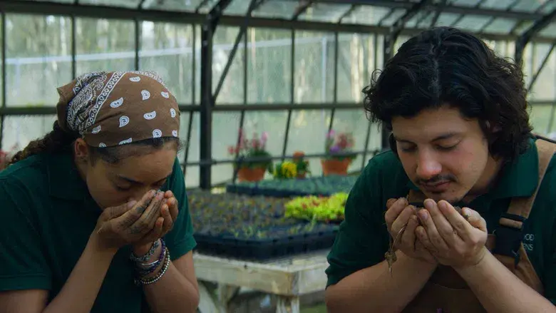 El maestro jardinero - Fondo