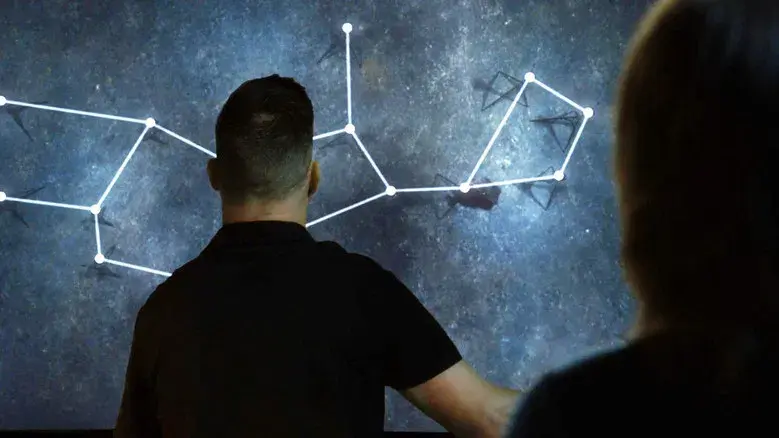 La paradoja del gemelo