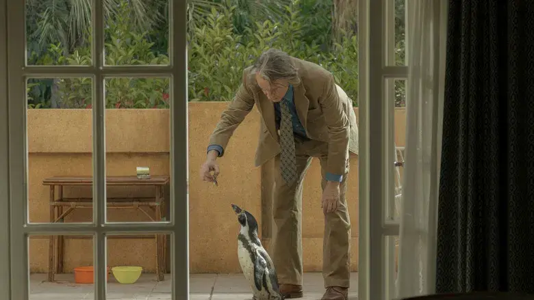 Lo que aprendí de mi pingüino - Fondo