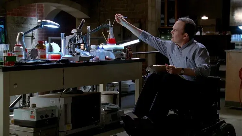 Bajo la luz de la luna