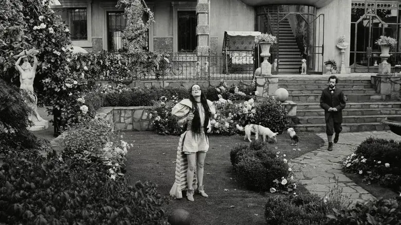 Pobres criaturas - Fondo